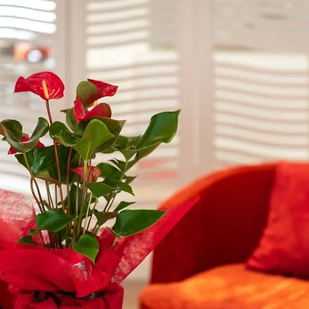 Ξενοδοχείο Mercure Raphael Centre