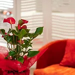 Hotel Mercure Raphael Centre